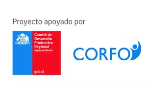 CORFO, Comité de Desarrollo Productivo